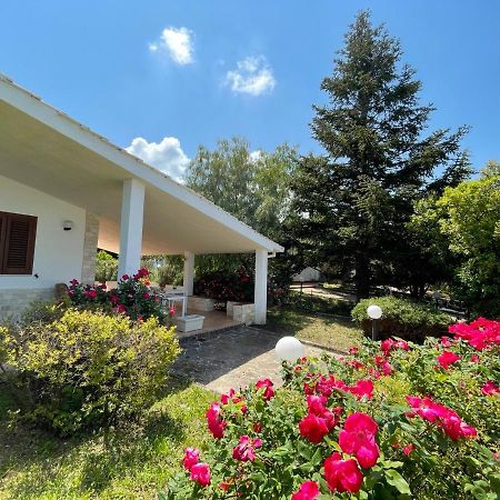 Rose Country Villa Касано деле Мурдже Екстериор снимка