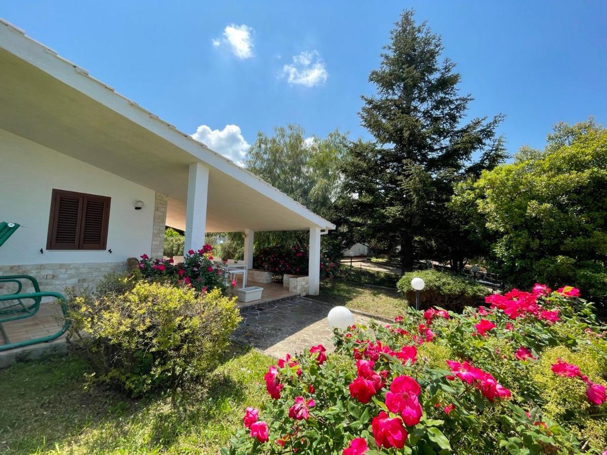 Rose Country Villa Касано деле Мурдже Екстериор снимка