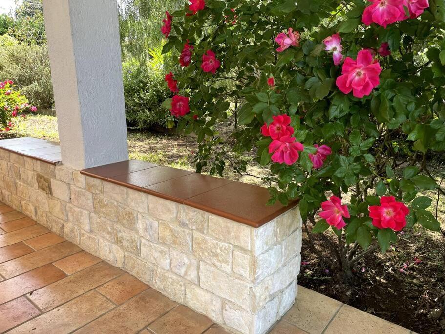 Rose Country Villa Касано деле Мурдже Екстериор снимка